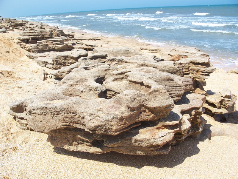 File:Coquina.jpg