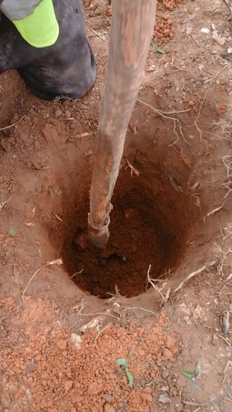 File:First inches.jpg