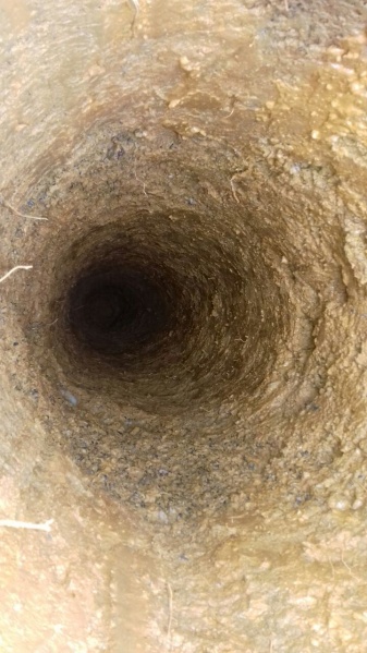 File:Hole after 2 days.jpg