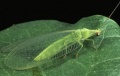 Thumbnail for version as of 13:50, 13 August 2014