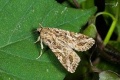 Thumbnail for version as of 19:16, 4 September 2014