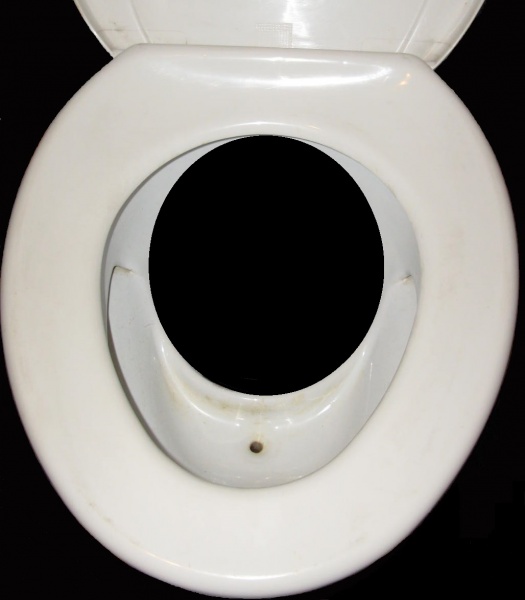 File:Urine diversion.jpg