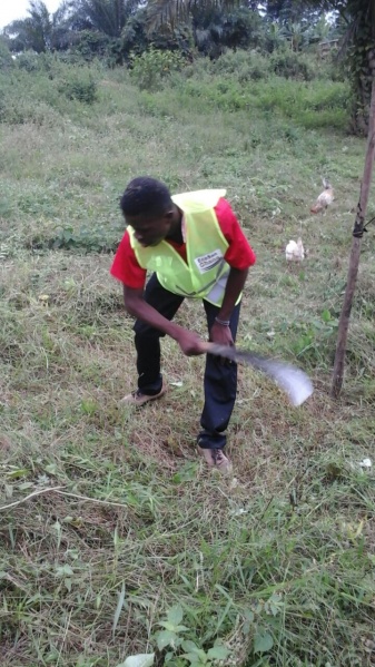 File:Weeding.jpg