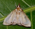 Thumbnail for version as of 20:48, 16 July 2014
